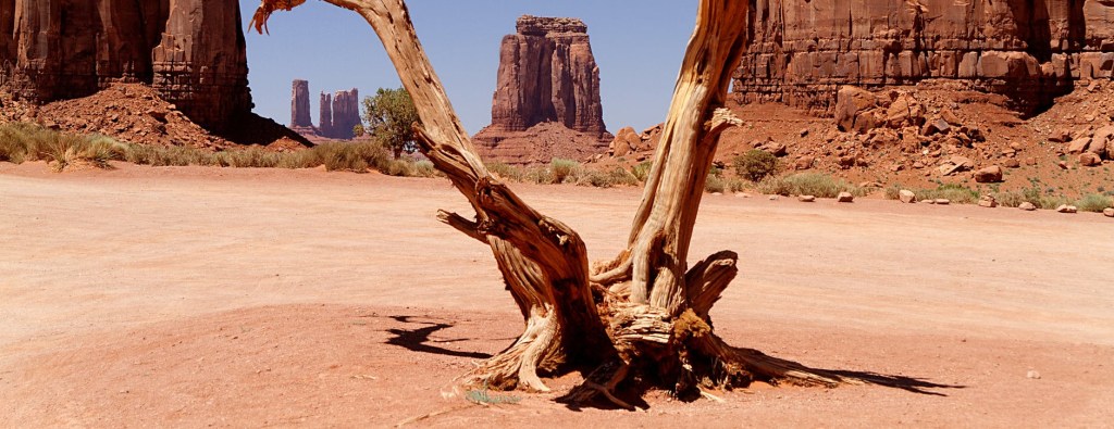 “The Lord is Salvation”: The Meaning of the Bible’s Miracle-Births