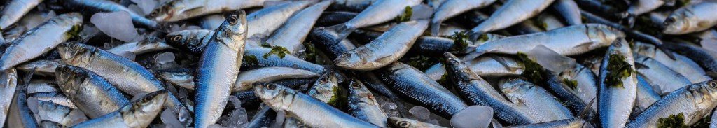 Breakfast on the Beach: Peter’s Failure and Redemption